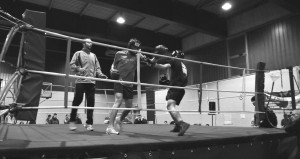 soft boxe